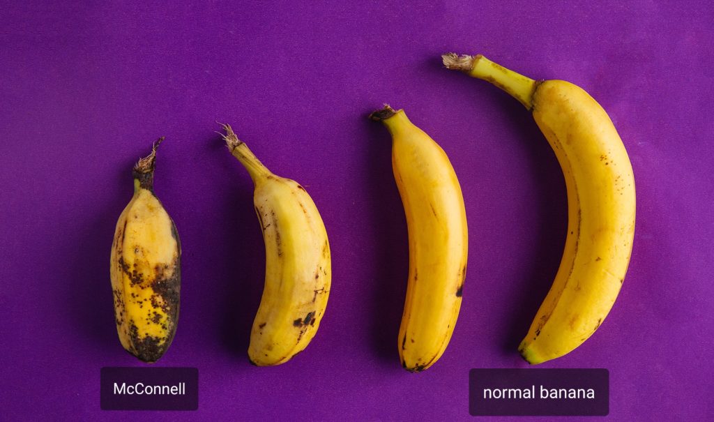 Banana